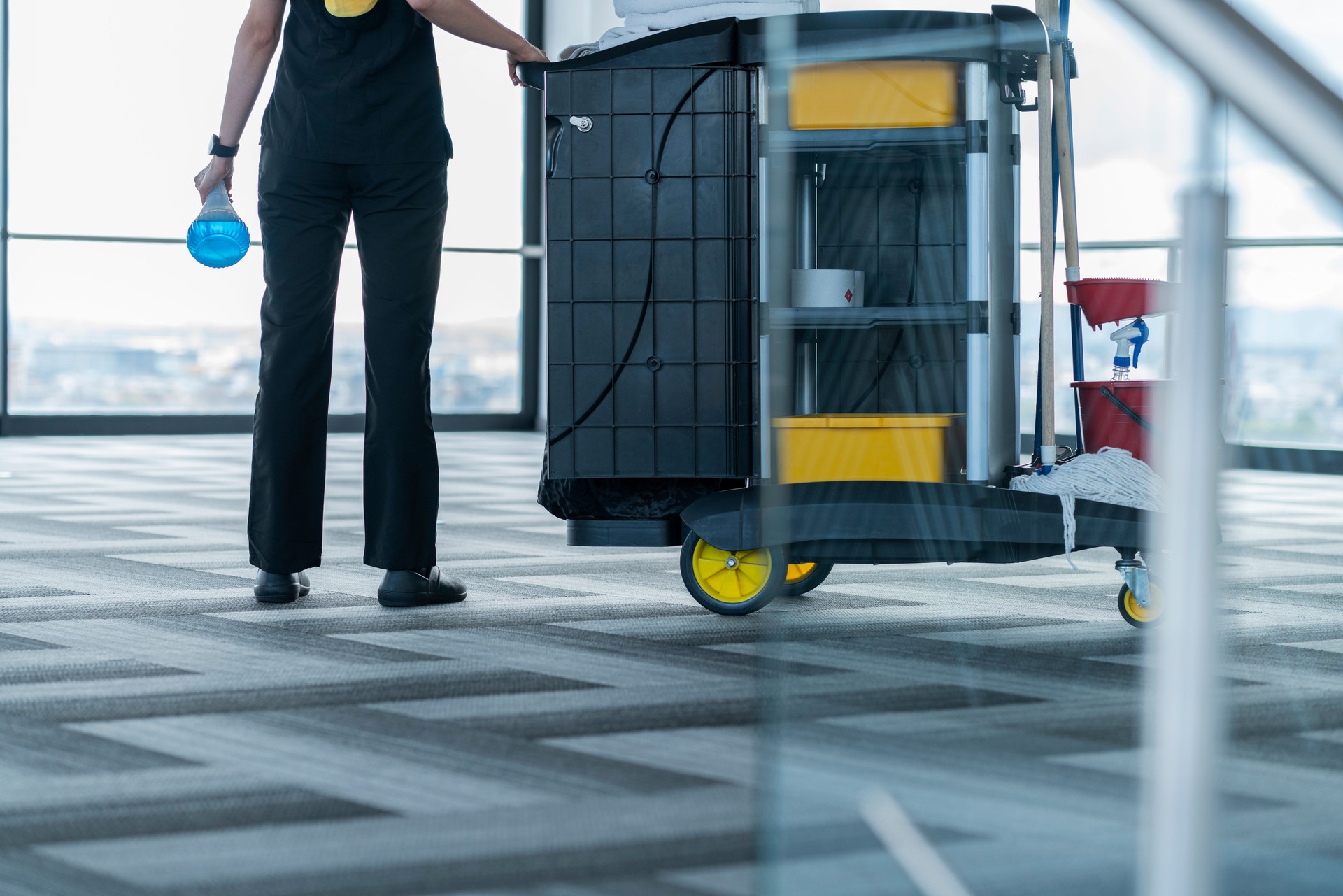 Latin woman with the help of a toilet trolley helps with the grooming